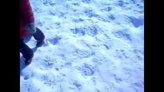 Настя