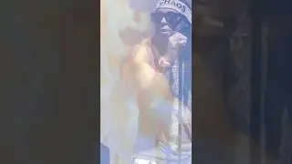 #youngdolph #youngmoney #lilwayne #paperrouteempire #connection #special #crazy #typebeat #newmusic
