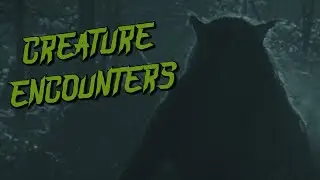 (3) Creepy Stories Submitted by Subscribers | CREATURE ENCOUNTERS #15