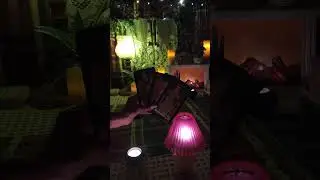Мужчина иди выйди посмотри Кто там?