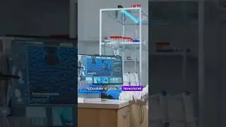 Что ждет Россиян в конце года? #новости #предсказания