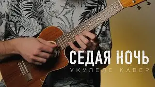 Седая ночь инструментальный кавер на укулеле