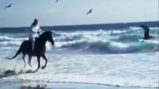 Beautifull Horse / marcelo tanaka