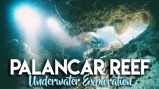 COZUMEL SCUBA DIVING - PALANCAR CORAL REEF