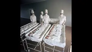 131. НЕ ВИНОВАТЫЕ МЫ! ОНО САМО!