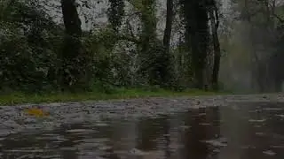 ЛЮБОВЬ К АЛЛАХ1У 🤲🤲🤲🤲