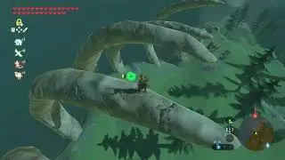 The Legend of Zelda - Breath of the Wild - Switch - Video 94/X