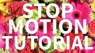 Make a Stop Motion Effect (Photoshop)
