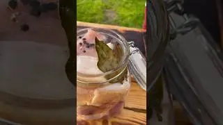 #сало в рассоле
