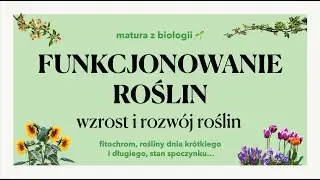 #31.2 Funkcjonowanie roślin - wzrost i rozwój roślin 🌼 matura z biologii 🌱 liceum