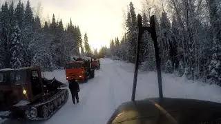 Забираю остатки леса. Камаз лёг. Собаки на Волынке.