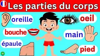 Easy French | Les parties du corps | Learn french | Apprendre le français | Learn French