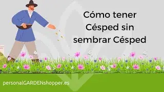 Cómo tener Césped sin sembrar Césped