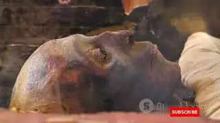 The Mummyfication process|mummy |Egypt |Ancient Egypt