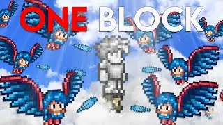 I tried beating Terraria with ONLY one block...