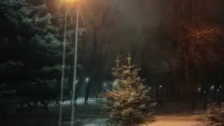 Падаючий сніг в парку.