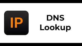 IP Tools: DNS Lookup