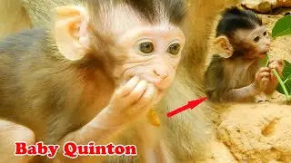 Baby Quinton Look So Cute & Handsome, Thanks Mom Queen Good Care Quinton
