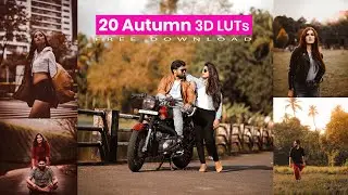 20 Autumn 3D LUTs Pack For Photoshop Free Download