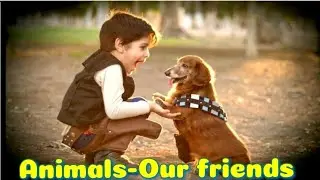 Uses of Animals| Science -Animals our friends