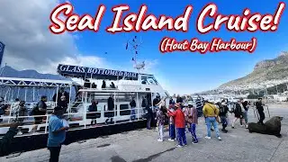 Seal Island Cruise, Hout Bay! S1 – Ep 525