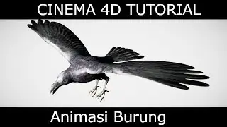 Cinema 4D Tutorial || Rigging Animasi Bird