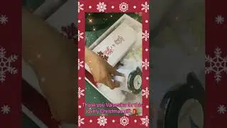 Christmas New Year gift from company