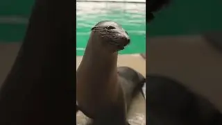 Wait till the end…