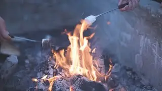 The Camp Fire