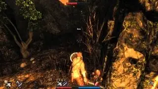Risen / Linux / Wine 1.7.x