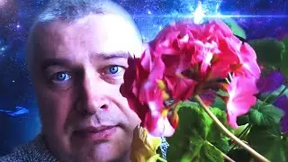 Геннадий Горин — Сыграй (в стиле Enjoykin)