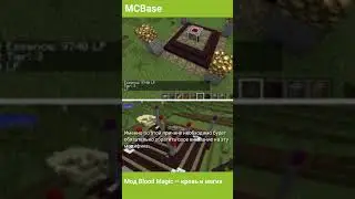 Мод 