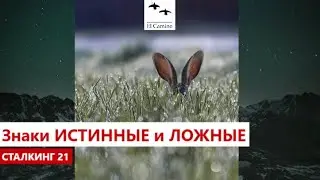 Знаки ИСТИННЫЕ и ЛОЖНЫЕ