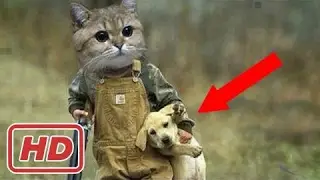 TRY NOT TO LAUGH-Funny Animals Fails Compilation 2017