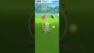 the creature (Bagon Community Day Classic 2024)