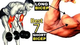 BICEPS WORKOUT - top 7 biceps exercises - FitSuraj