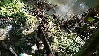 Habis hujan ikannya pada mabok.dibuat terkejut sama hewan 1 ini... 😂