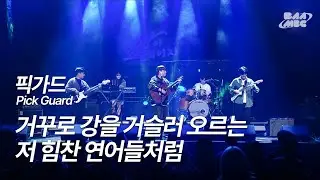 픽가드(Pick Guard) - 거꾸로 강을 거슬러 오르는 저 힘찬 연어들처럼(COVER) [241212 마이스테이지 미방]