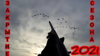 #ОХОТА