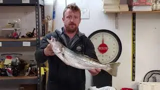 5 10 21 Noah Gomez 5 Pound Weakie SURF