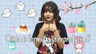 Respondendo Perguntas Aleatórias