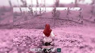 TUTORIAL CARA EDIT FOTO LIGHTROOM - SAKURA TONE