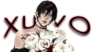 work, mikasa