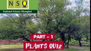 Plants Quiz | Part 1 | NSO | class 3 | Parts of leaf | parts of plant and their functions |
