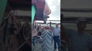 Кадры трудовых будней