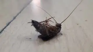 NoWaiter