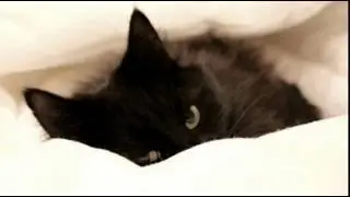 Мое слайд-шоу