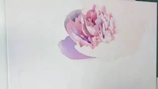 Progress of watercolor 