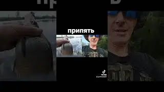 30 июня 2024 г.