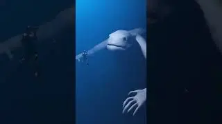 CREATURA DEGLI ABISSI DIVORA SUB 